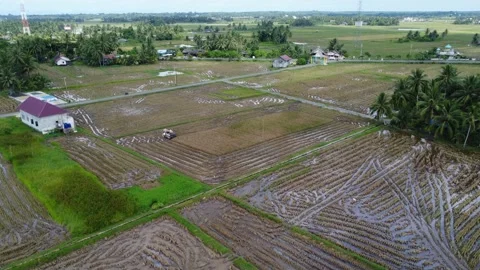 Farmer's activities harvesting rice using a tractor Stock Footage 294600036