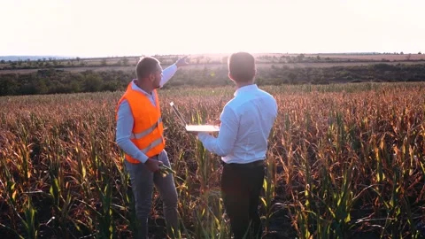 Farmers analyzing a crop irrigation plan. Stock Footage 140043521