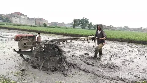 Farmers are plowing their fields Stock Footage 220717456