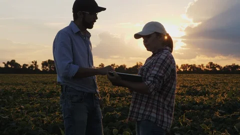 Farmers are talking while standing in a field Stock Footage 92059356