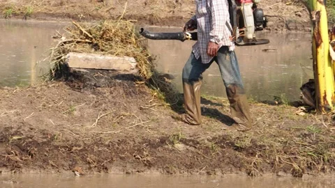 Farmers are using grain throwing tools to grow rice in rice fields Stock Footage 152715658
