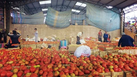 Farmers Arraigning Tomato Boxes At Local Market Video stock 88337368