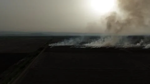 Farmers burn their fields after harvesting crops Stock Footage 270457345