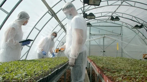 Farmers checking plants in greenhouse Stock Footage 127180136