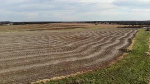 Farmers Corn Field Stock Footage 195994971