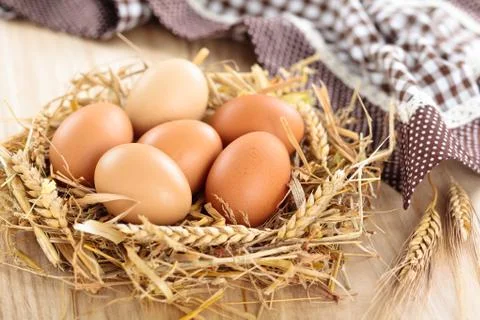 Farmers eggs. Stock Photos