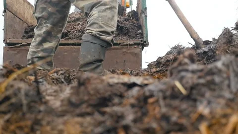 Farmers feet stand in manure. Manure loading. Slow motion Stock Footage 126990153