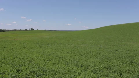 Farmer's Field Stock Footage 63475089