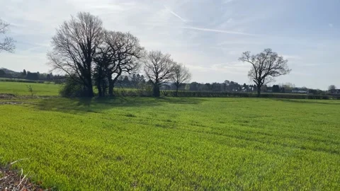 Farmer's field Stock Footage 177881300