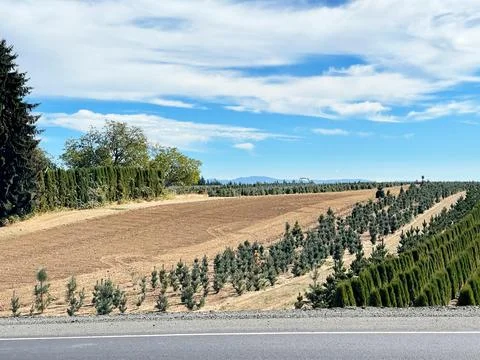 A farmers field in Gresham, Oregon Stock Photos