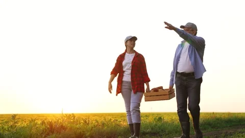 Farmers field talking about theme harvest, business concept agriculture Stock Footage 258350234