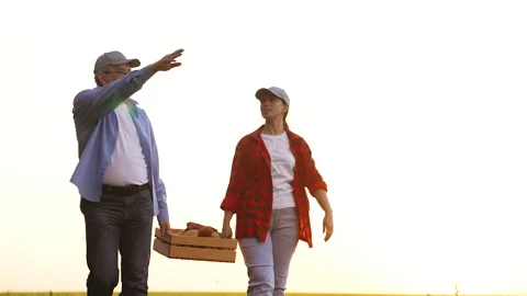 Farmers field talking about theme harvest, business concept agriculture Stock Footage 259695068