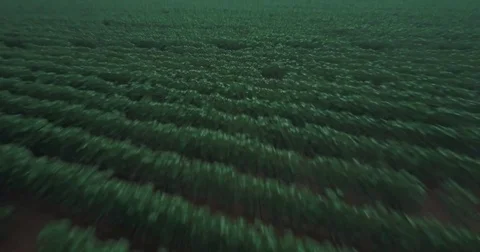 Farmers' fields Vídeo Stock 81983235