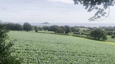 Farmers fields with St Michael's Mount in the background. Cornwall Stock-Footage 285090067