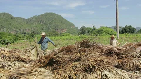 Farmers Stock Footage 12184177