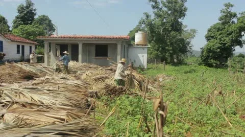 Farmers Vídeo Stock 12185114