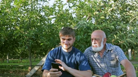 Farmers in the garden with a smartphone speak through video communication. Swing Stock Footage