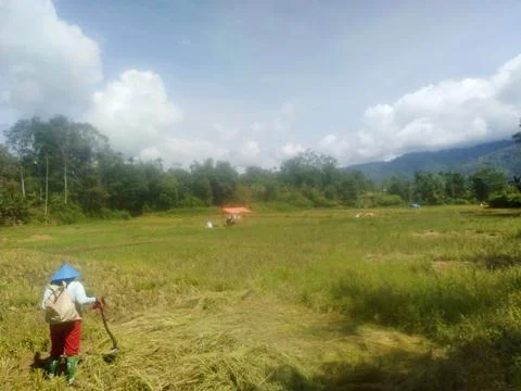 Farmers go down to the fields Stock Photos