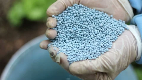 Farmers hand holding blue fertilizer tablets Stock Footage