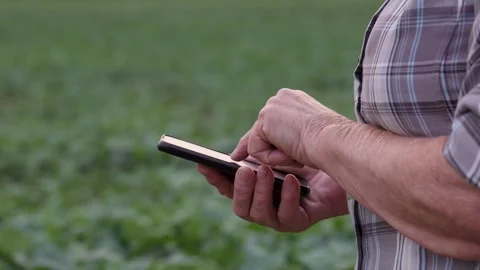 Farmers hands browsing smartphone screen in cultivated field Stock Footage 288495362