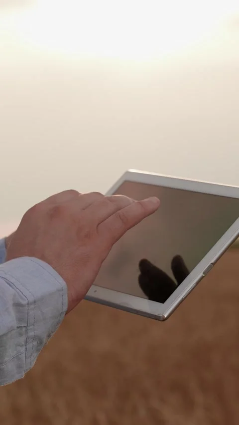 Farmer's hands holding computer tablet in wheat field. Farmer working with Stock Footage 302783458