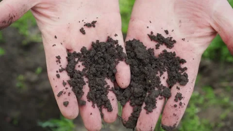 Farmer's Hands Holding Pile Of Soil On Fertile Agricultural Land Video stock 153024853