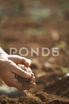 Farmer's Hands Holding Soil On Fertile Land Stock Photos