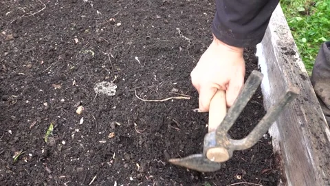 Farmer's hands with small hoe preparing the soil for cultivation in vegetab.. Stock Footage 255227282