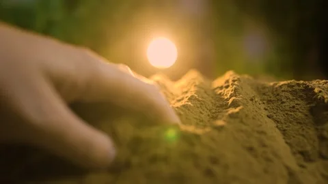 A farmer's hands work the soil, with selective focus on the palms Stock Footage 267060176