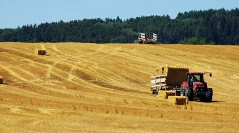 Farmers harvest grain from the field (farmer loads haystacks on the tractor) Stock Footage