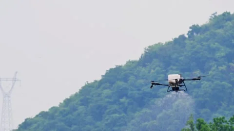 Farmers load fertilizer and debug agricultural drone before rice field operation Stock Footage 339752759
