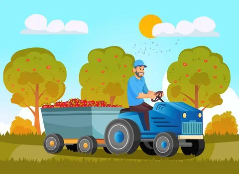 Farmers Loading apples on Tractor Trailer. Local Farm Grown Organic Food, Eco Stock Illustration