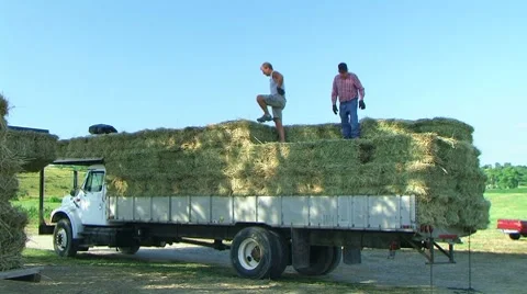 Farmers Loading Hay 02 Stockbeeldmateriaal 8600784