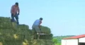 Farmers Loading Hay HD Footage