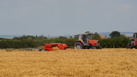 Farmers loading straw bales onto trailer and using baling machine Stock Footage 77406497