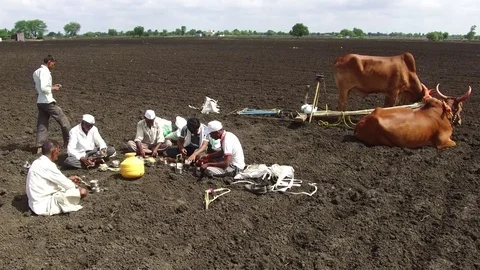 Farmers lunch break Stock Footage 77656746