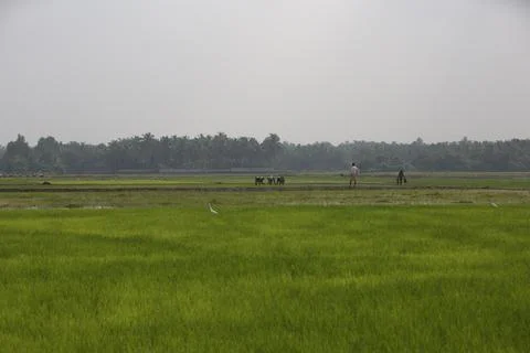 Farmers 스톡 사진