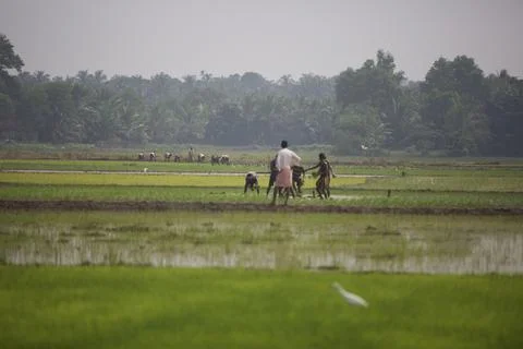 Farmers Stock Photos