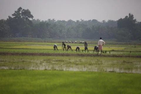 Farmers 스톡 사진