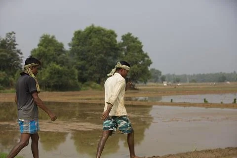 Farmers Stock Photos
