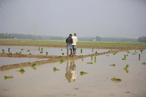 Farmers 스톡 사진