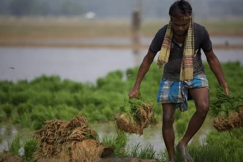 Farmers 스톡 사진