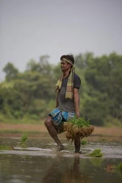 Farmers 스톡 사진