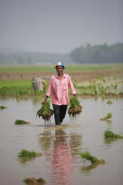 Farmers Stock Photos