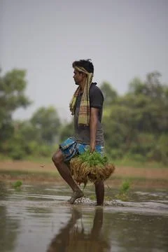 Farmers Stock Photos