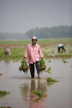 Farmers Stock Photos