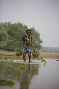 Farmers Stock Photos