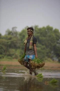 Farmers 스톡 사진