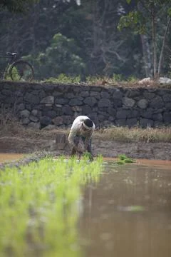 Farmers Stock Photos