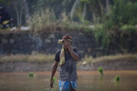 Farmers Stock Photos